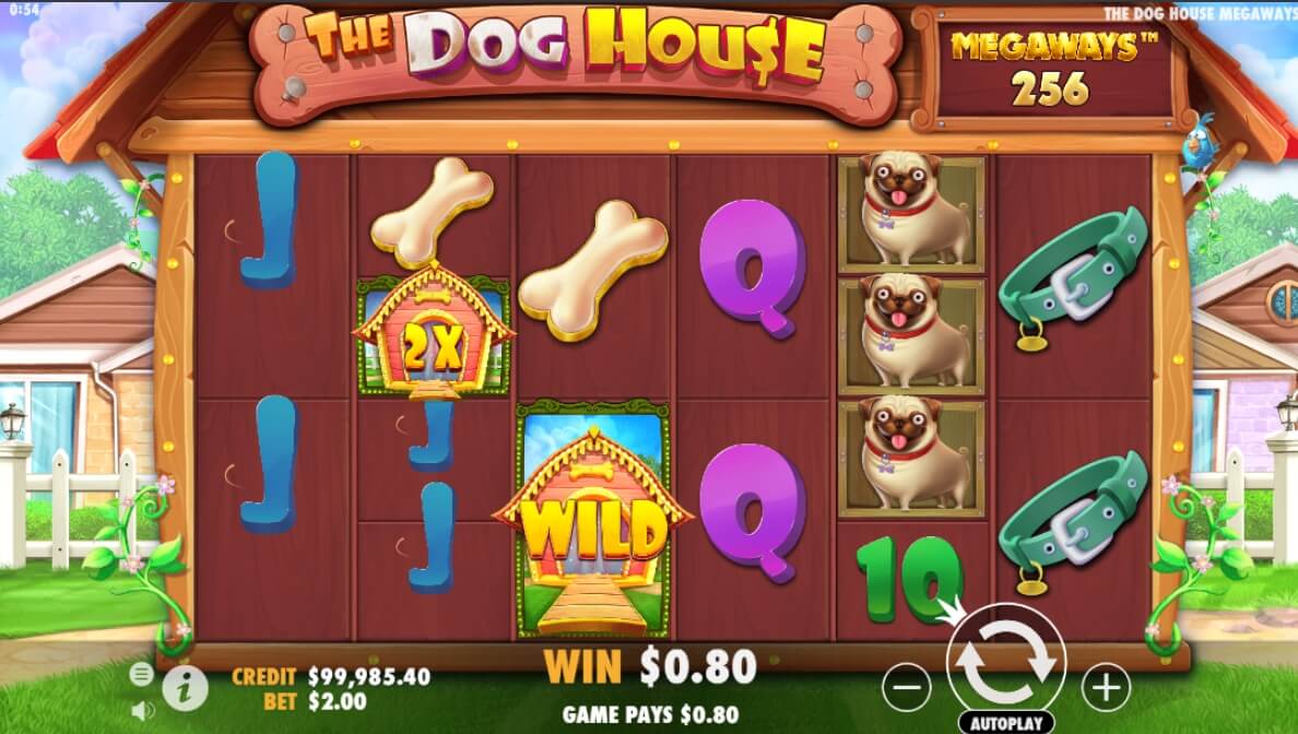 The Dog House Megaways Procesul jocului