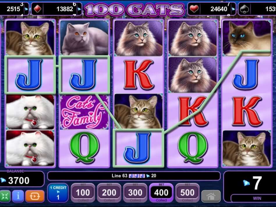 100 Cats Procesul jocului