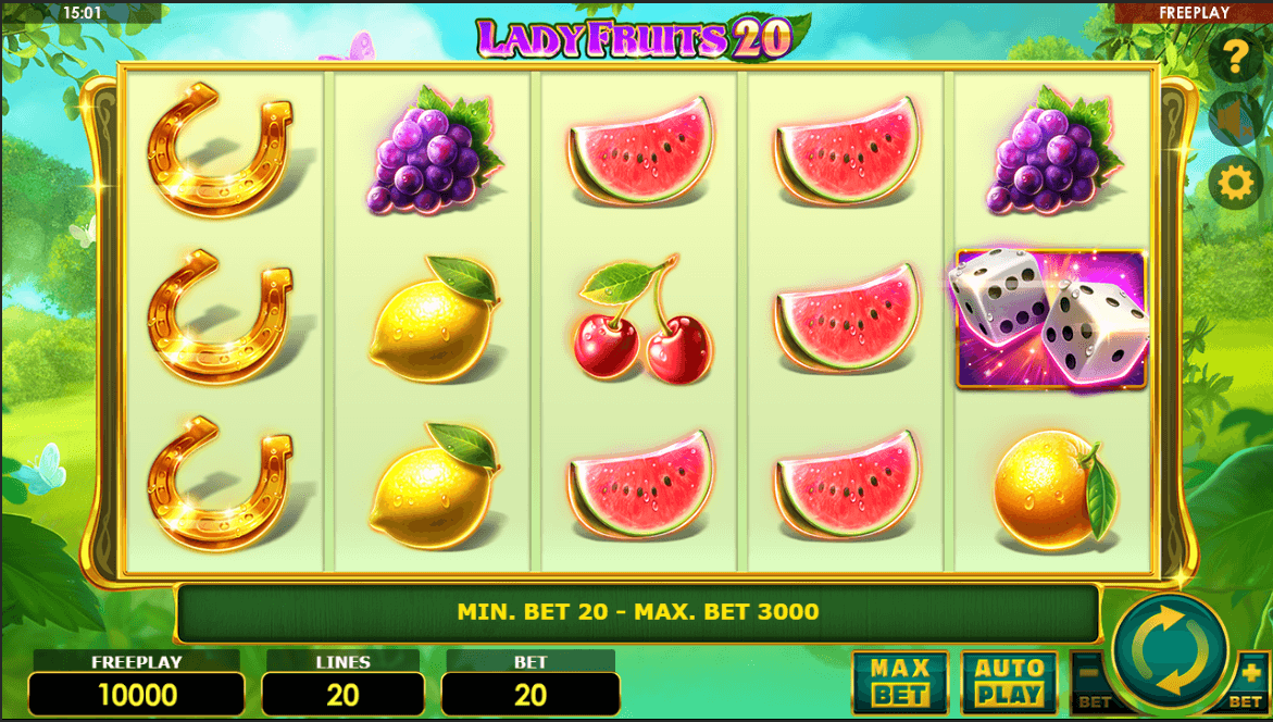 Lady Fruits 20 Procesul jocului