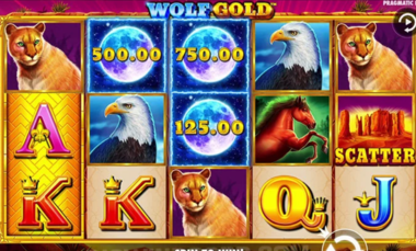 Wolf Gold Power Jackpot Procesul jocului